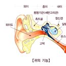 네일;지우 이미지