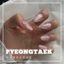 평택 고덕 핑거래쉬 고덕네일 전체 팁 연장 아트 후기