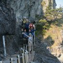 울릉도를 찾아 이미지