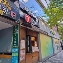 바오도그 이미지