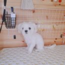 이쁘개(내포신도시점) 이미지