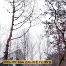 로하우스 이미지