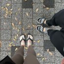 수원-1535 | 내돈내산 망포역 더난기구필라테스 1:2 듀엣레슨 솔직후기