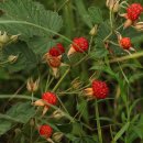 학산농장 이미지