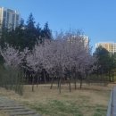 해봄 공인중개사사무소 이미지