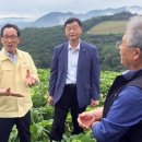 고랭지식품