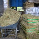 하모니농장 이미지