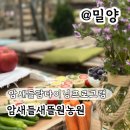 별밤 감성 공예 | 경남 아이 체험 밀양 암새들 팜다이닝 프로그램 추천