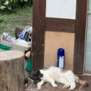 완산방-16 이미지