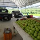 파란농장 이미지