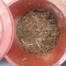 지석농장 이미지