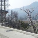 목운중학교 이미지