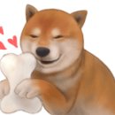 모디돌 이미지