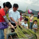 장전천3 이미지