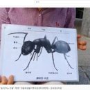 샘물지역아동센터 이미지