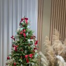 365한의원 이미지