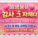 🔥 이것이 ~ 바로 무클 ⁉️ 이미지