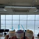 시도 3호선 버즘나무 | [강릉카페] 강릉 주문진카페 순두부젤라또 3호점, 오션뷰 통창에서 맛보는 쫀득한 젤라또 후기