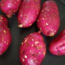 못골농장 이미지