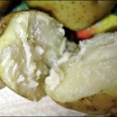 [익줌마의 식생활 노하우] 전자레인지로 감자 찌기 이미지