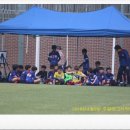 신안산유소년풋볼아카데미 이미지