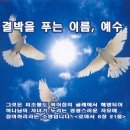 은혜로운 베스트 찬양 12곡 모음 이미지