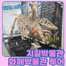 대덕경찰서 | 대전 공룡이 나타났다! 박물관 투어 ! 지구의 기록부터 화폐의 역사까지 '지질박물관 &amp; 화폐박물관'