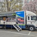 성주참외한우영농조합법인 | 바로마켓 경상북도점 2025년 4월 1주차