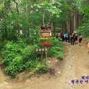 곰배령새소리