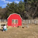 주아목장 이미지