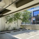 본가물텀벙 이미지