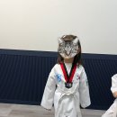 JK 태권도 이미지