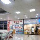 두리수선 이미지