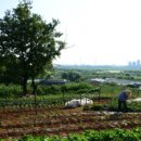 국토행정사사무소 이미지