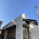 살롱(salon), 248