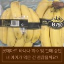 롯데쇼핑(주) 롯데마트사업본부 | 잔류농약 초과 검출! 롯데마트 바나나 회수 및 판매 중단 조치, 내 아이가 먹은 건 괜찮을까요? (육아...