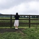 수일목장 이미지