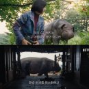 옥자