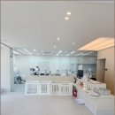 신정애견미용 이미지