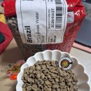 콩드립 | 생두리뷰 지에스씨(GSC) 그린비너 13기 l 브라질 디카페인 커피생두 l 핸드드립 센서리 후기