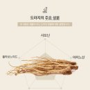 맥한의원 이미지