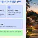 태양조명 - 사하구 다대로 389 | 2026 태양광 조명 가성비 추천 🌞실사용 후기까지