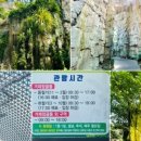금빛물결펜션 이미지