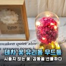 유리돔 모드등 | 기념일 선물 고민 끝! 시들지 않는 테차 꽃 유리돔 무드등으로 전하는 변치 않는 진심