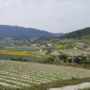 김용환농장 이미지