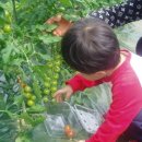 주환농장 이미지