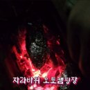 홍천강 자라바위 오토캠핑장 이미지