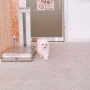 로하동물병원 이미지