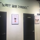 거북이의기적 이미지