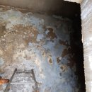 디에스이엔지 이미지